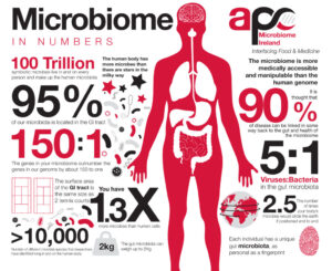 microbiome-infographic-1024x837
